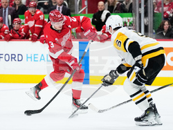 Penguins Red Wings Hockey