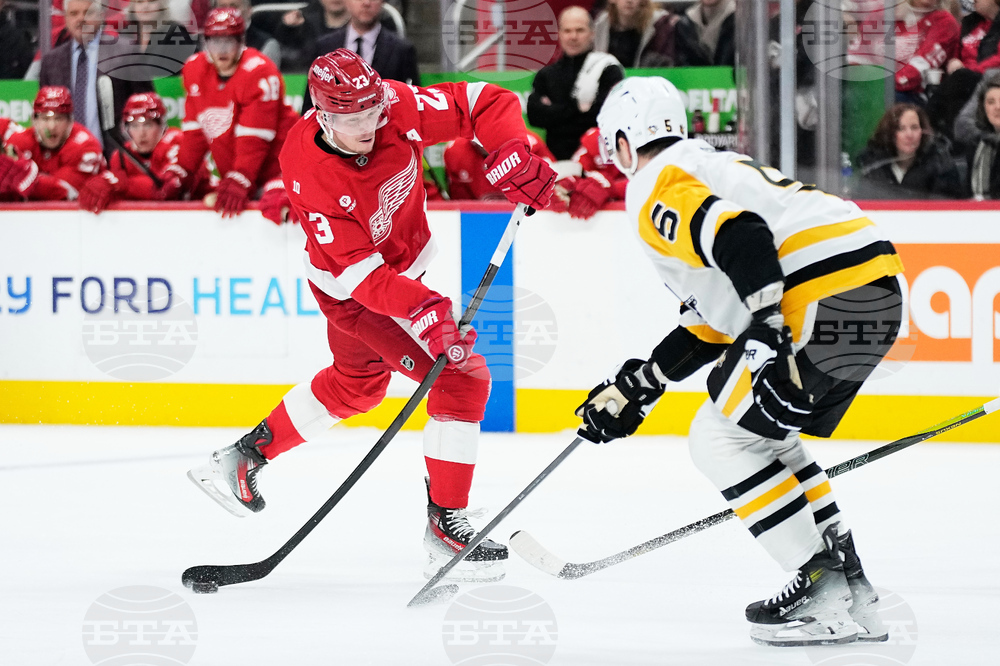 Penguins Red Wings Hockey