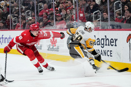 Penguins Red Wings Hockey
