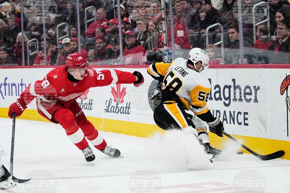 Penguins Red Wings Hockey