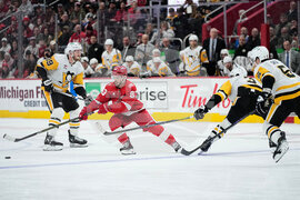 Penguins Red Wings Hockey