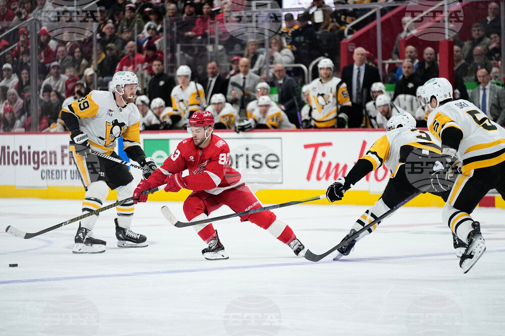 Penguins Red Wings Hockey