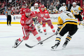 Penguins Red Wings Hockey