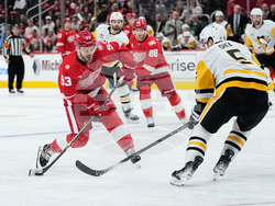 Penguins Red Wings Hockey