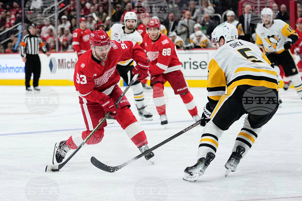 Penguins Red Wings Hockey