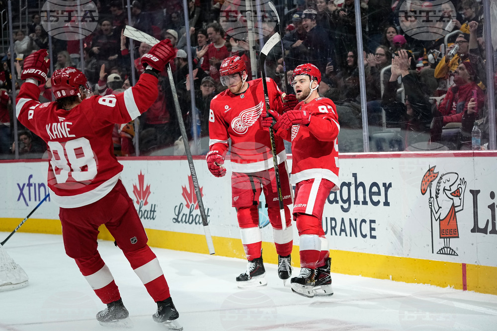 Penguins Red Wings Hockey