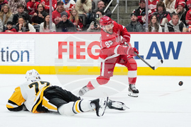 Penguins Red Wings Hockey