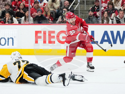 Penguins Red Wings Hockey