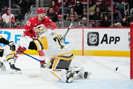 Penguins Red Wings Hockey