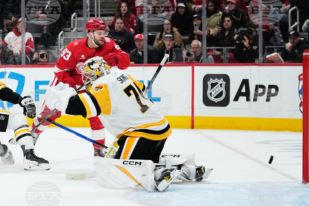 Penguins Red Wings Hockey