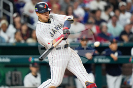 Blue Jays Okamoto Baseball