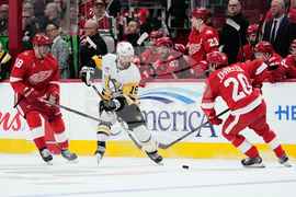 Penguins Red Wings Hockey