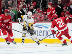Penguins Red Wings Hockey