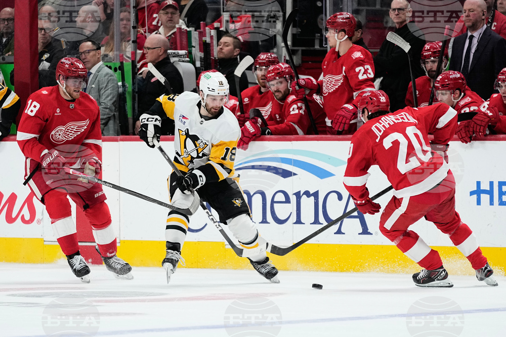 Penguins Red Wings Hockey