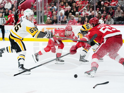 Penguins Red Wings Hockey