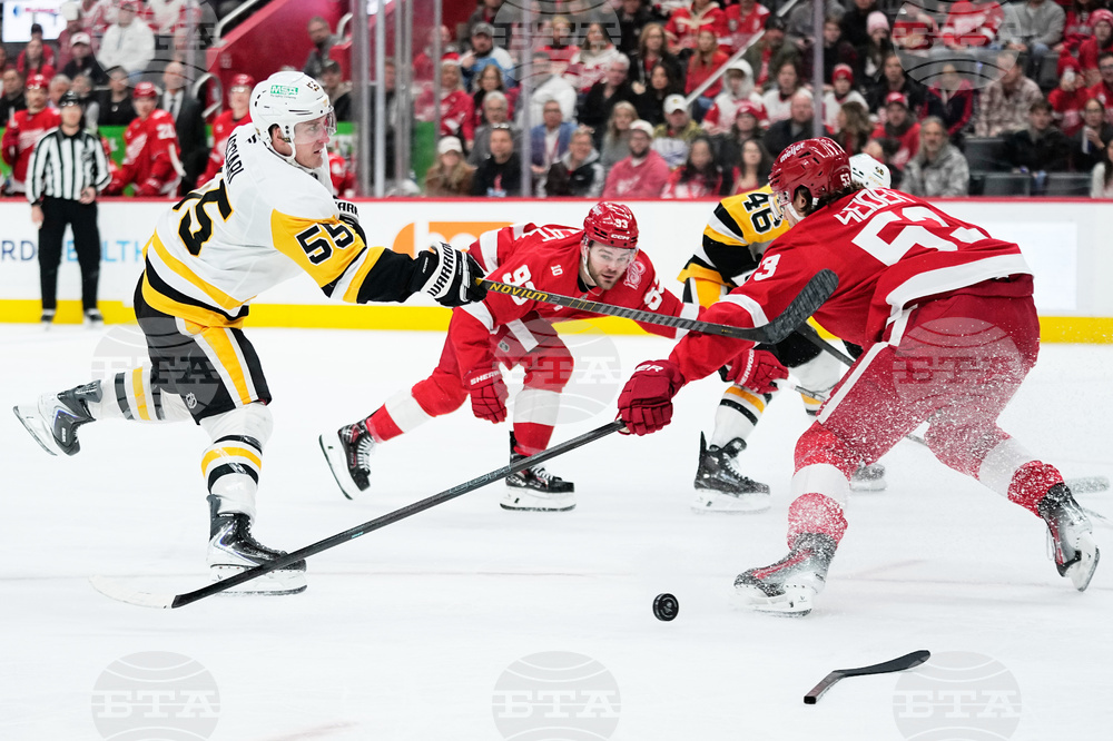 Penguins Red Wings Hockey