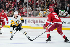 Penguins Red Wings Hockey
