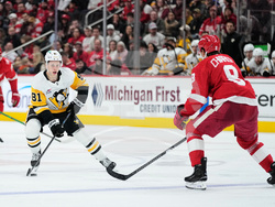 Penguins Red Wings Hockey