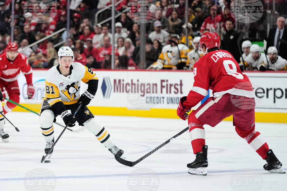 Penguins Red Wings Hockey