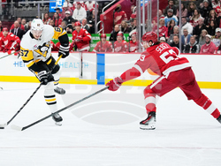 Penguins Red Wings Hockey