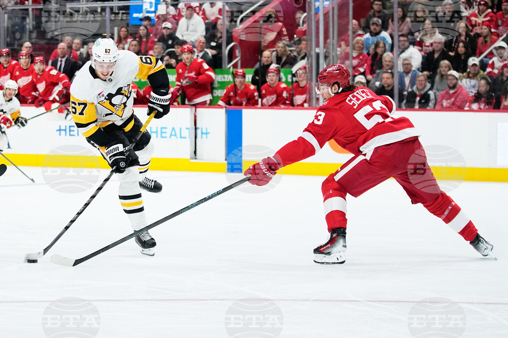 Penguins Red Wings Hockey