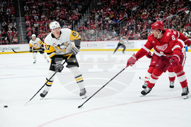 Penguins Red Wings Hockey