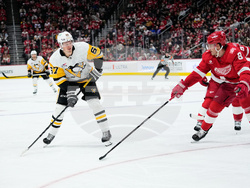 Penguins Red Wings Hockey
