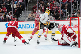 Penguins Red Wings Hockey