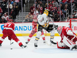 Penguins Red Wings Hockey