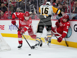Penguins Red Wings Hockey