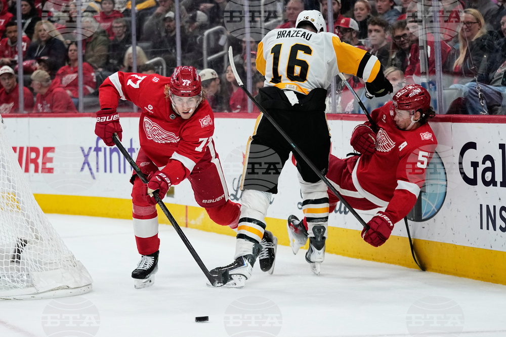 Penguins Red Wings Hockey
