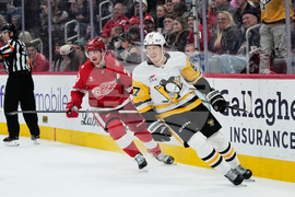 Penguins Red Wings Hockey