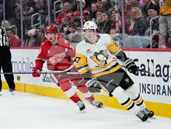 Penguins Red Wings Hockey
