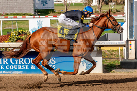 Fair Grounds Horse Racing