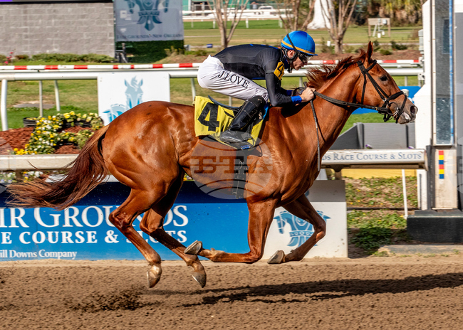 Fair Grounds Horse Racing