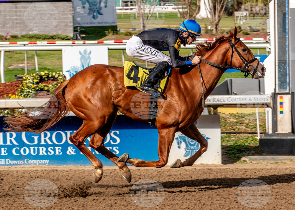 Fair Grounds Horse Racing