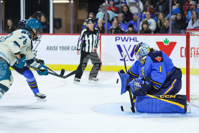 PWHL Torrent Sceptres Hockey