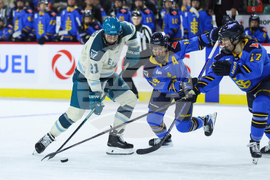 PWHL Torrent Sceptres Hockey