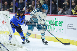 PWHL Torrent Sceptres Hockey