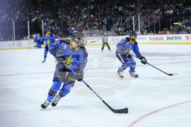 Torrent Sceptres Hockery