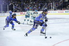 Torrent Sceptres Hockery