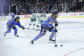 Torrent Sceptres Hockey