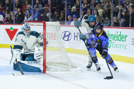 Torrent Sceptres Hockey