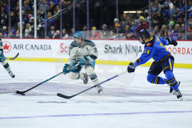 Torrent Sceptres Hockey