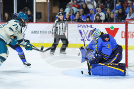 Torrent Sceptres Hockey