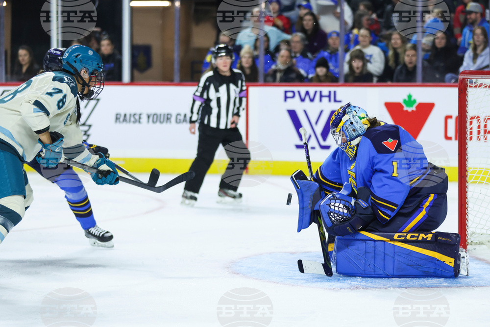 Torrent Sceptres Hockey