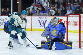 Torrent Sceptres Hockey