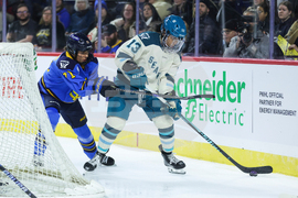 Torrent Sceptres Hockey