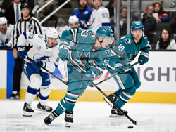 Lightning Sharks Hockey