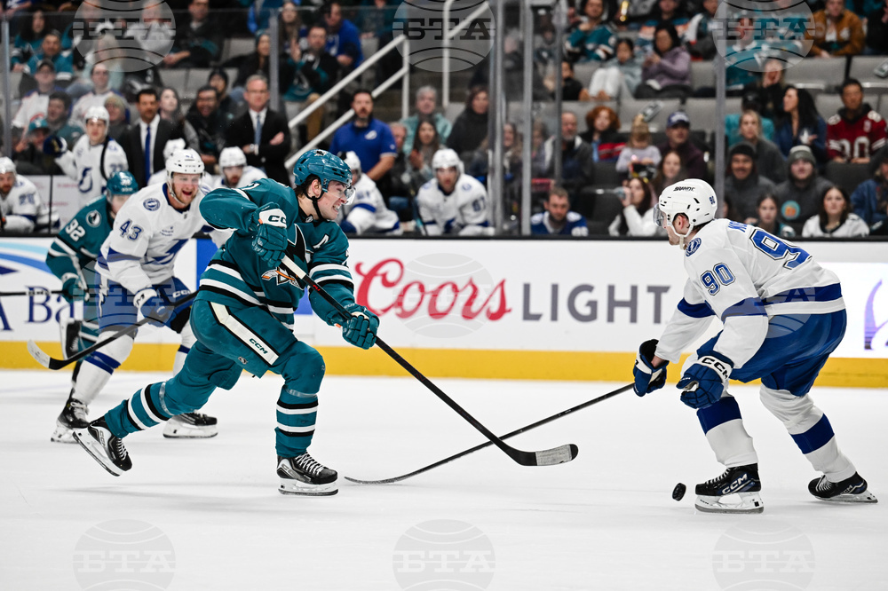 Lightning Sharks Hockey